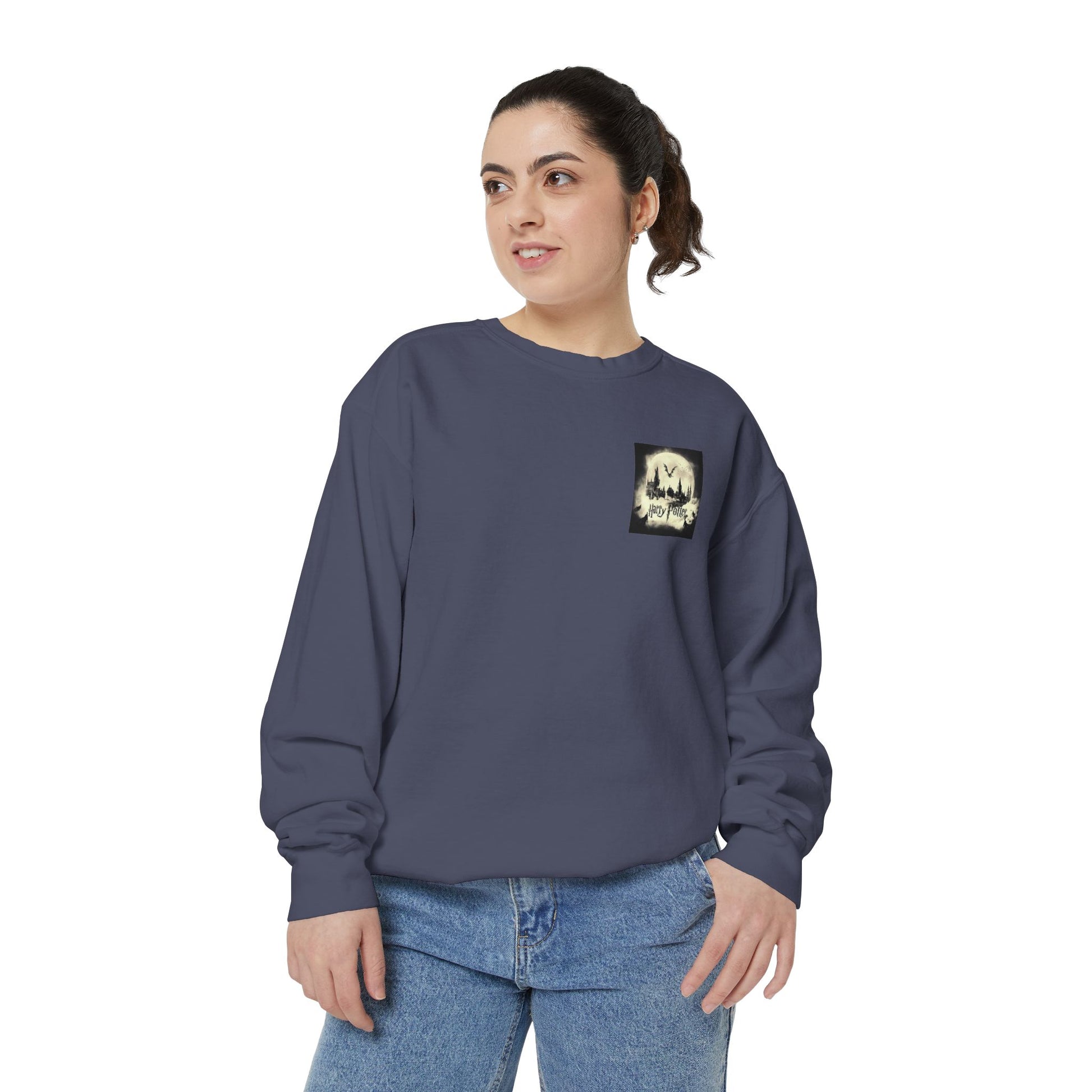 Harry Potter Unisex Sweatshirt, Cozy Sweatshirt, Gift for Potterheads, Movie Merch, Casual Wear, Layering Piece, Fan Apparel