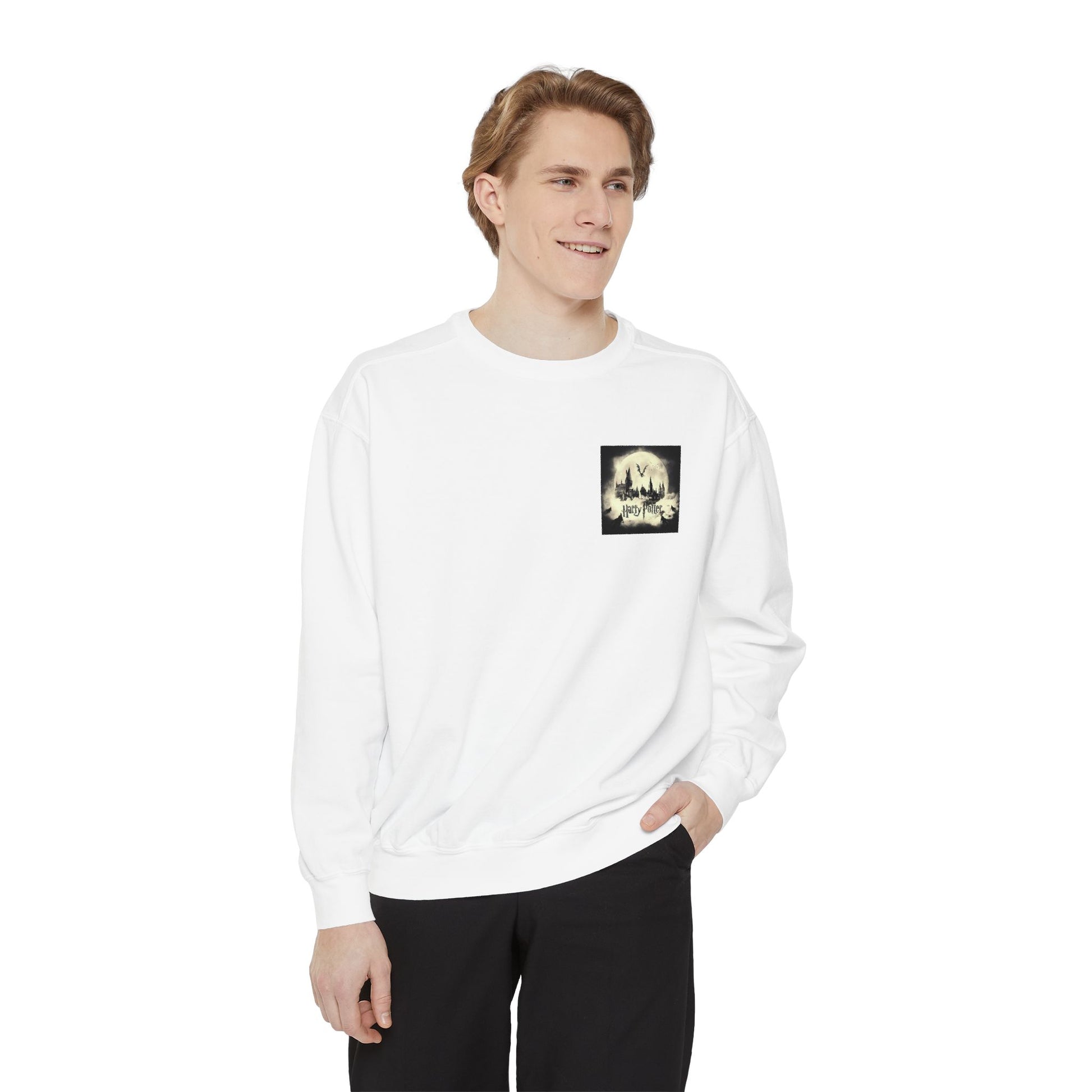 Harry Potter Unisex Sweatshirt, Cozy Sweatshirt, Gift for Potterheads, Movie Merch, Casual Wear, Layering Piece, Fan Apparel