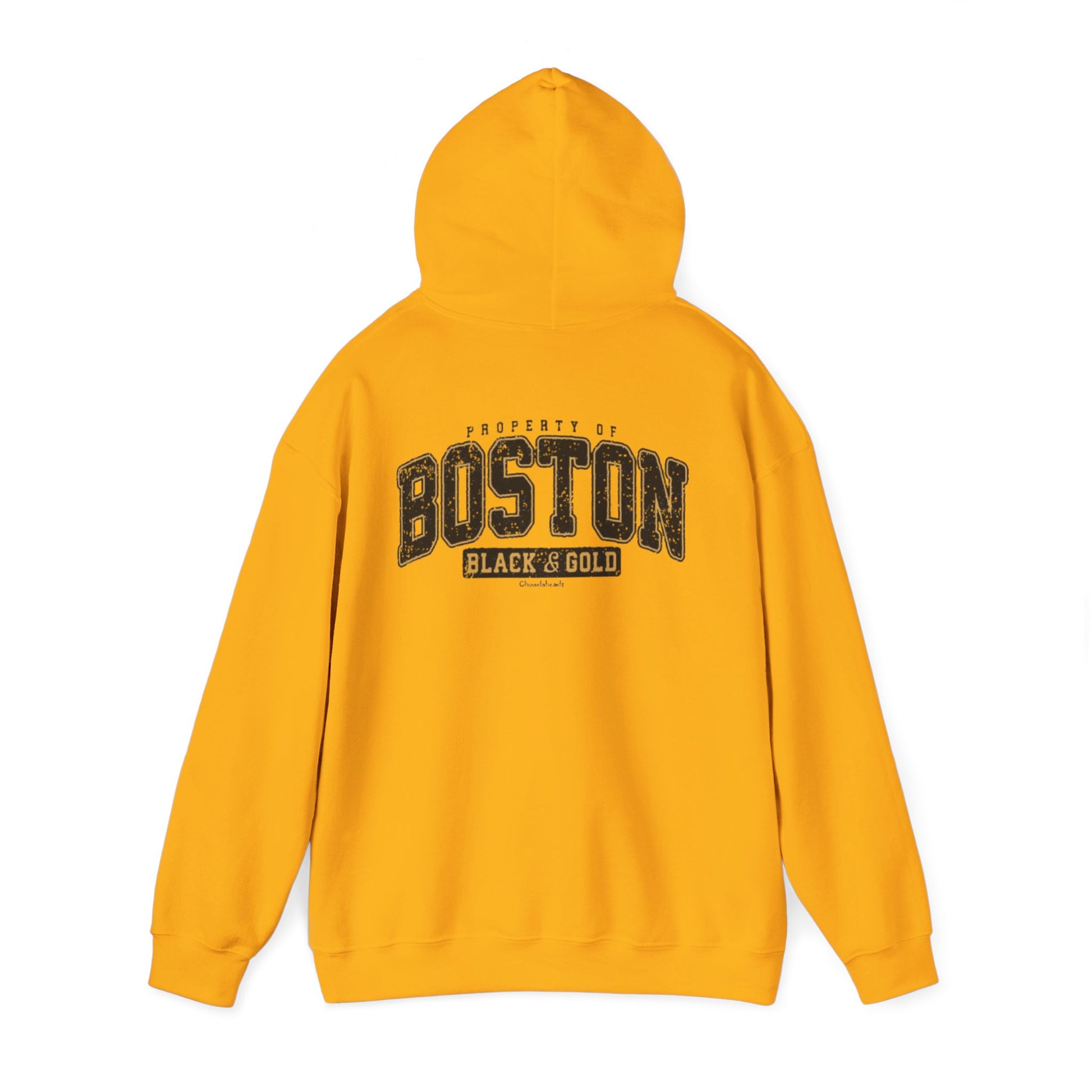 cool print Stylish Boston Hoodie, Cozy Sweatshirt for All Seasons, Unisex Streetwear, Perfect Gift for Boston Fans, Casual Layering Essential