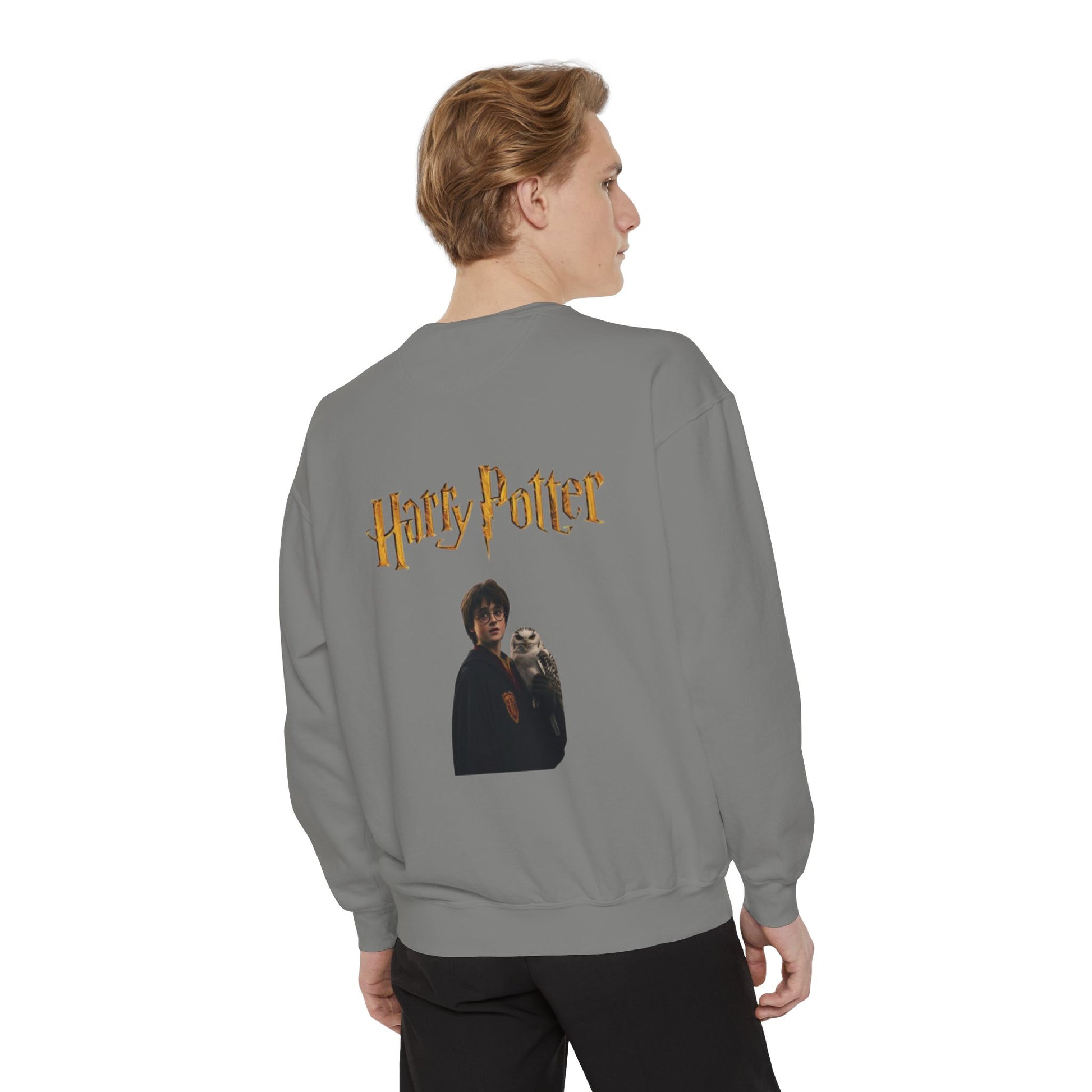 Harry Potter Unisex Sweatshirt, Cozy Sweatshirt, Gift for Potterheads, Movie Merch, Casual Wear, Layering Piece, Fan Apparel