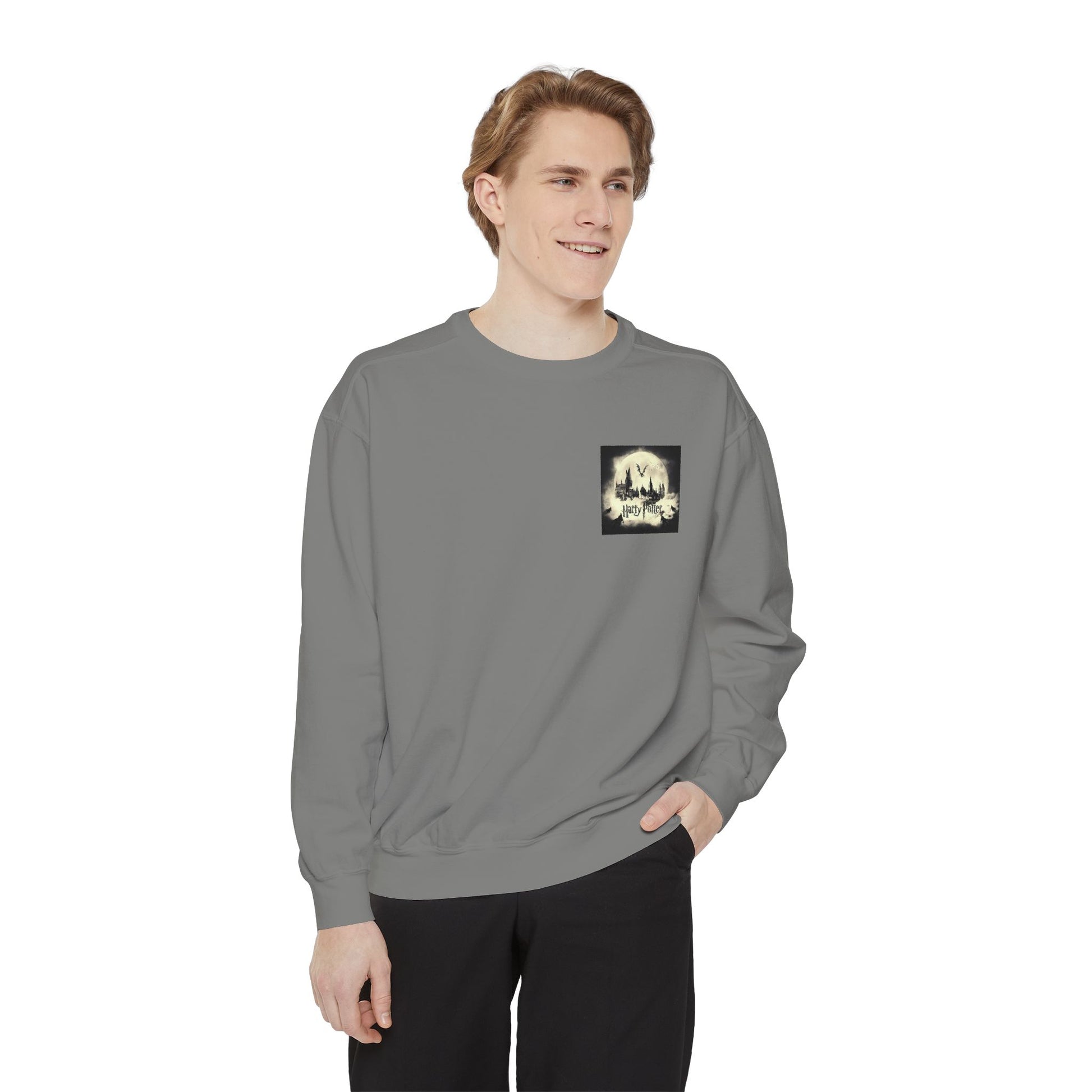 Harry Potter Unisex Sweatshirt, Cozy Sweatshirt, Gift for Potterheads, Movie Merch, Casual Wear, Layering Piece, Fan Apparel