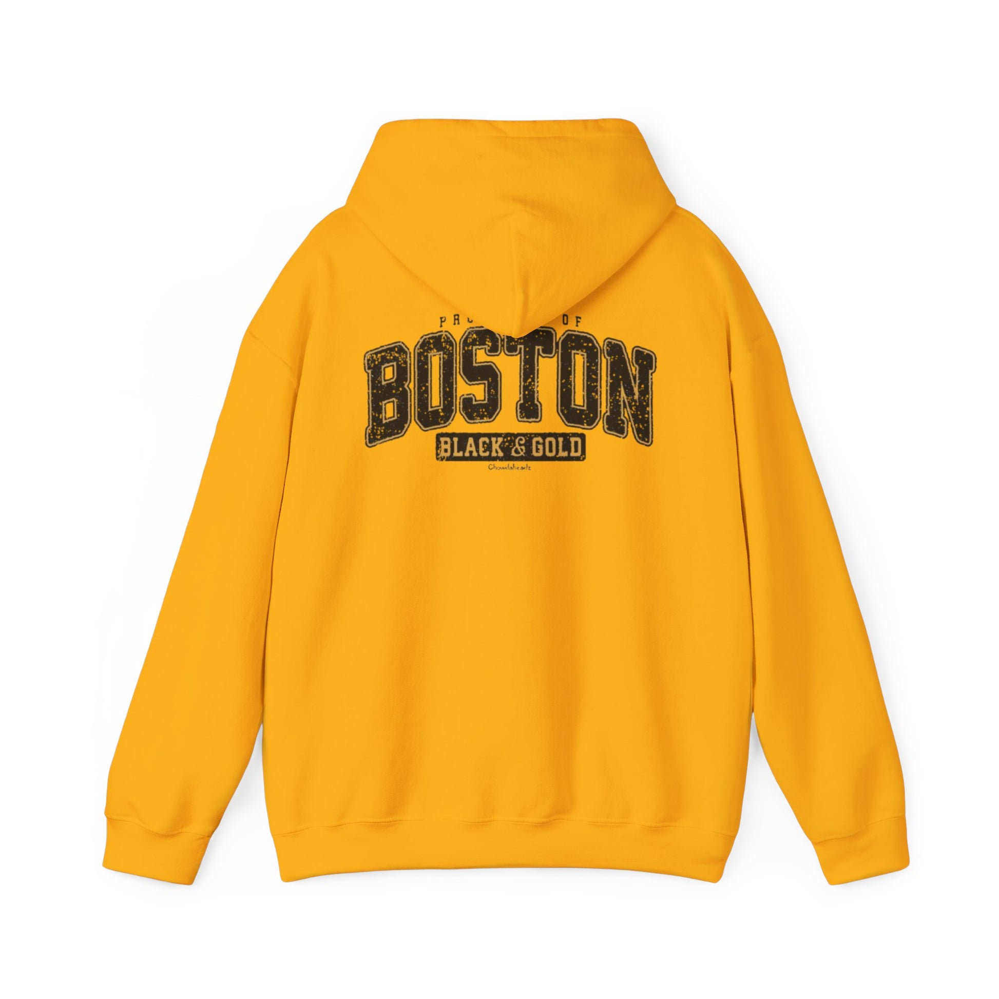 cool print Stylish Boston Hoodie, Cozy Sweatshirt for All Seasons, Unisex Streetwear, Perfect Gift for Boston Fans, Casual Layering Essential